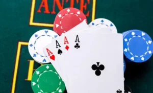 글로벌-라이선스-비교